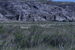CEAB000013_greasewood_western_wheat_grass_shrubland