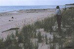 CEAB000172_americandunegrass_indiantansyshorelinedune