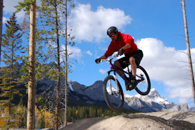 MTB - Skills Park