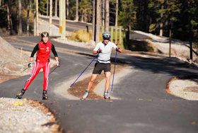 Roller Skiing