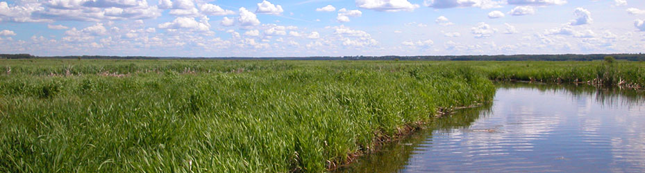 Alberta Parks