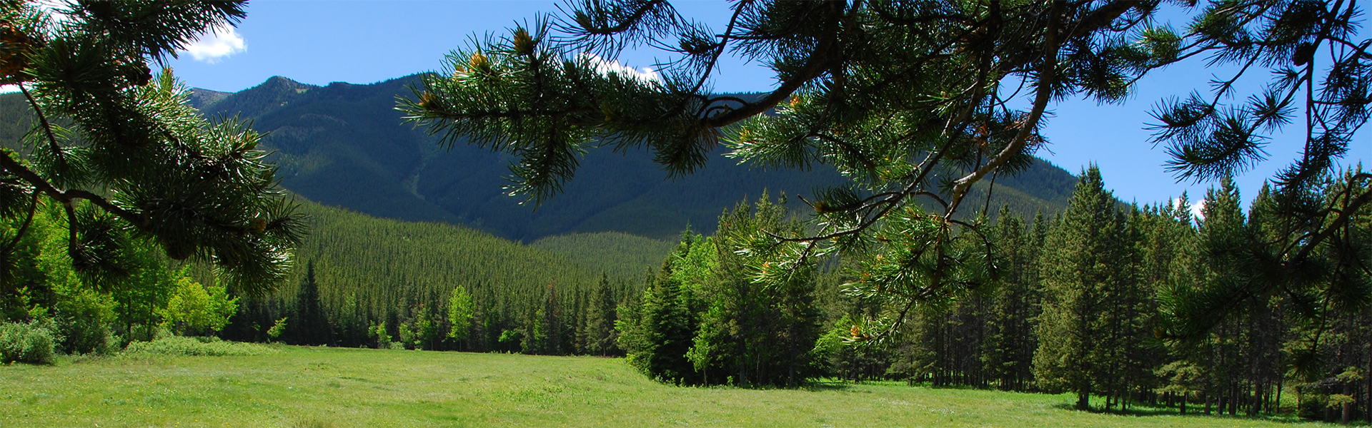 Alberta Parks