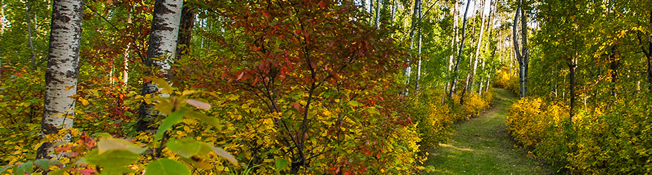 Alberta Parks