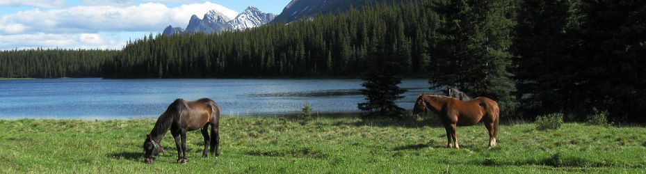 Alberta Parks