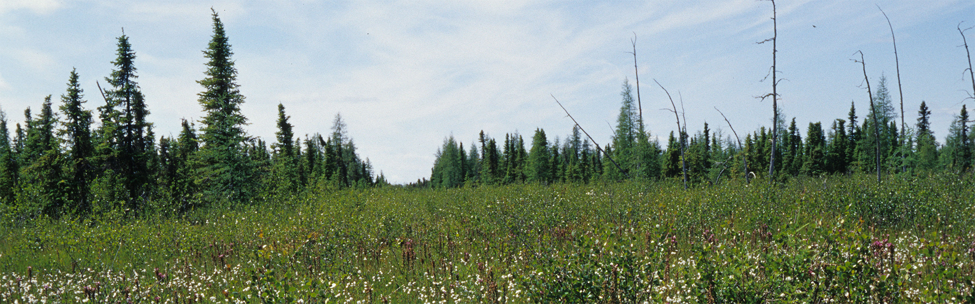 Alberta Parks