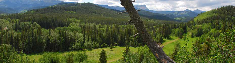 Alberta Parks
