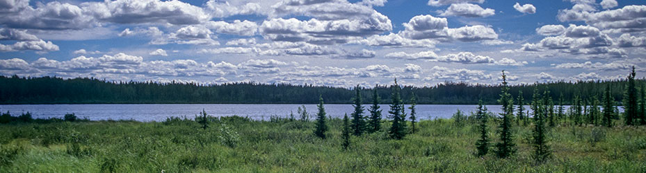 Alberta Parks