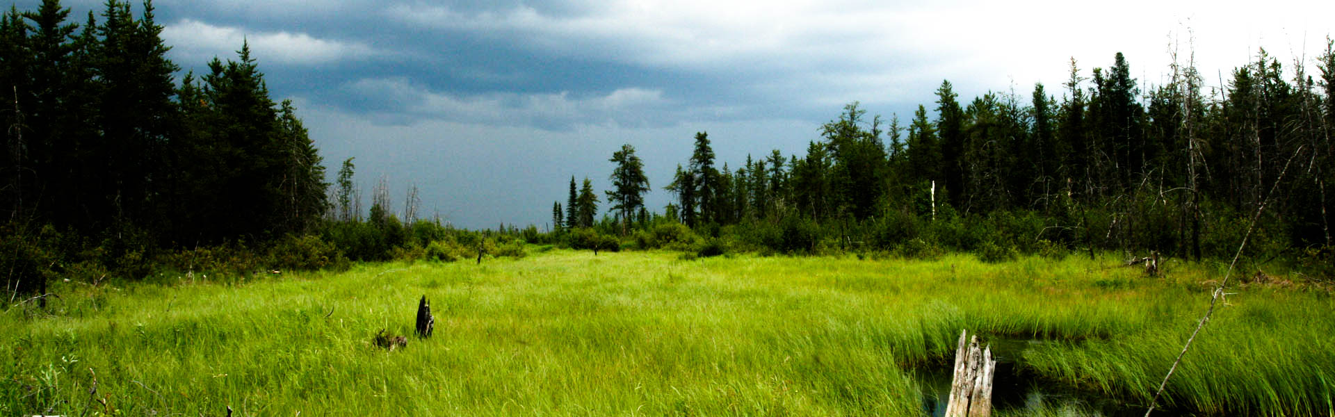 Alberta Parks