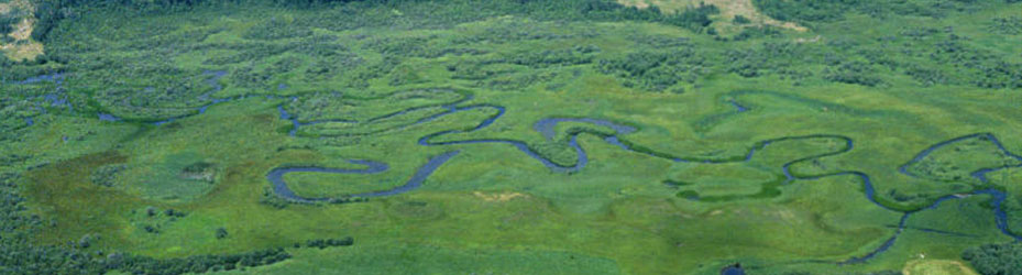 Alberta Parks