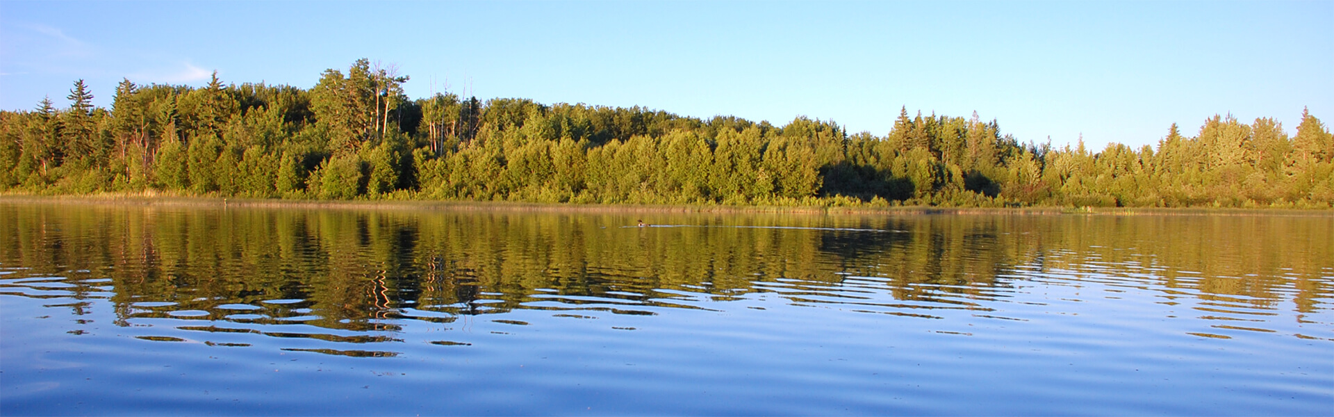 Alberta Parks
