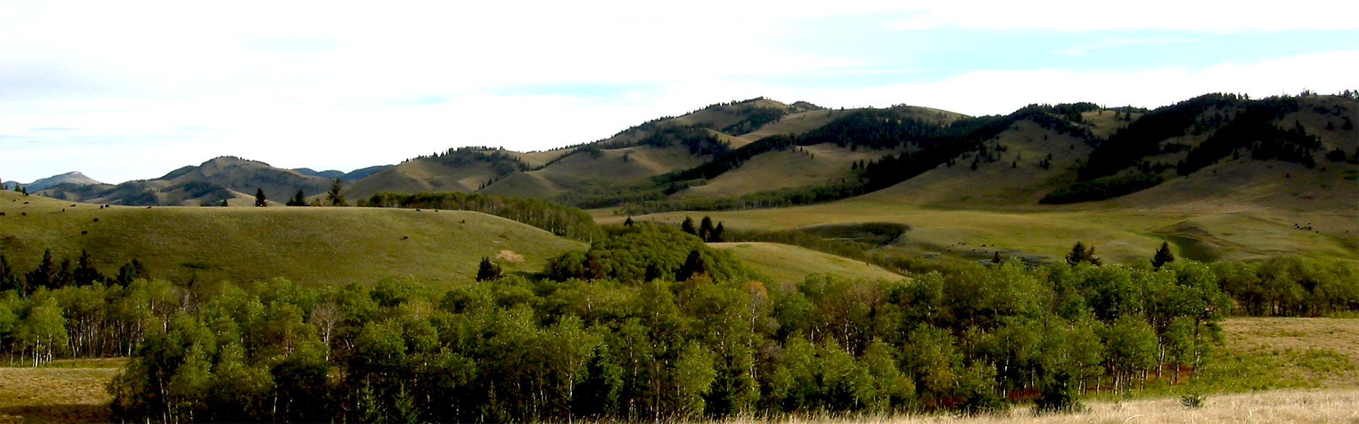 Alberta Parks