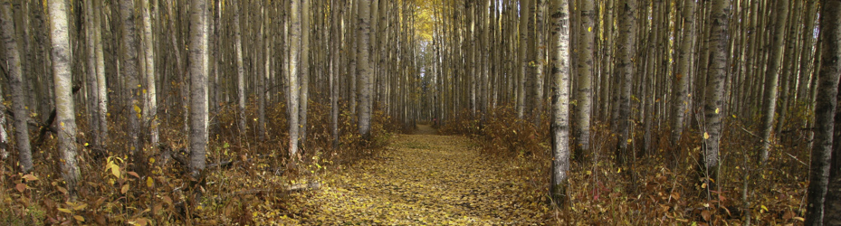 Alberta Parks