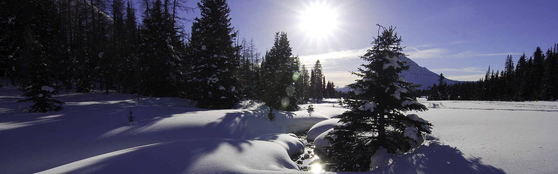 Alberta Parks