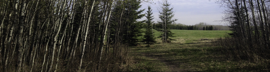 Alberta Parks