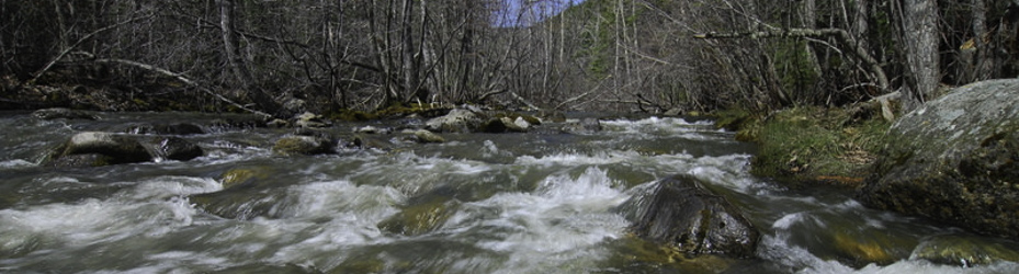 Alberta Parks