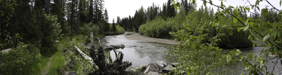 Alberta Parks