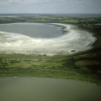 Alkali Wetlands