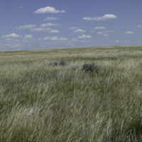 Glaciolacustrine Deposits