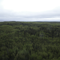 Moraine