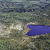 Organic Wetlands
