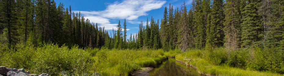 Alberta Parks