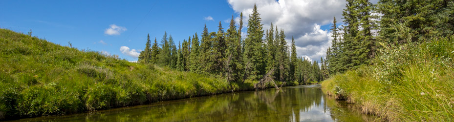 Alberta Parks