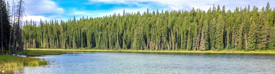 Alberta Parks