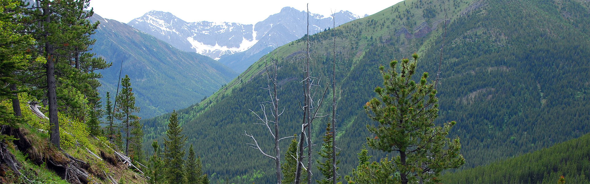 Alberta Parks