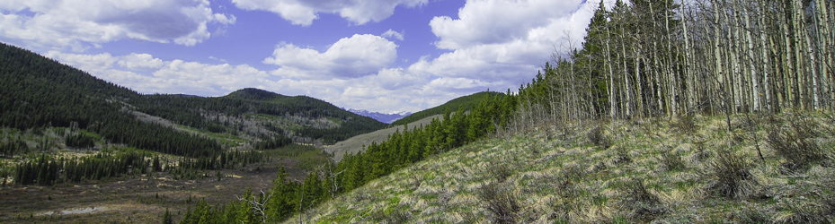 Alberta Parks