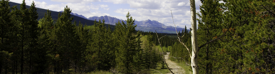Alberta Parks