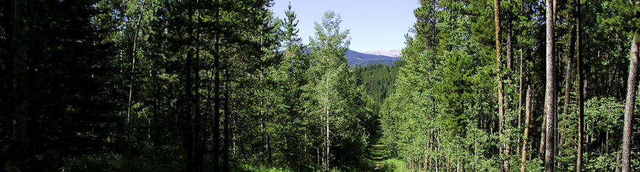 Alberta Parks