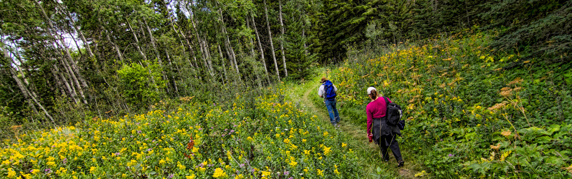 Alberta Parks