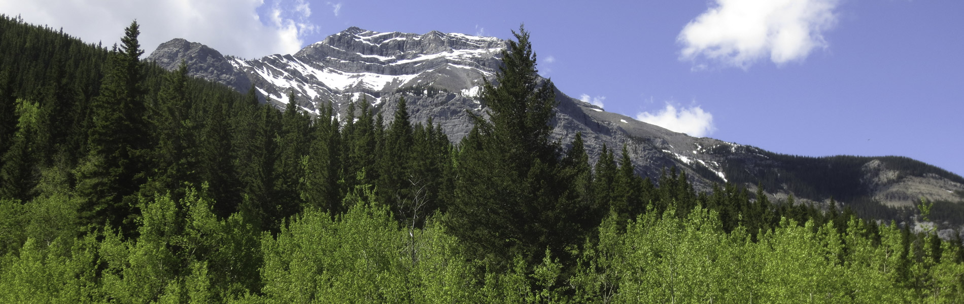Alberta Parks
