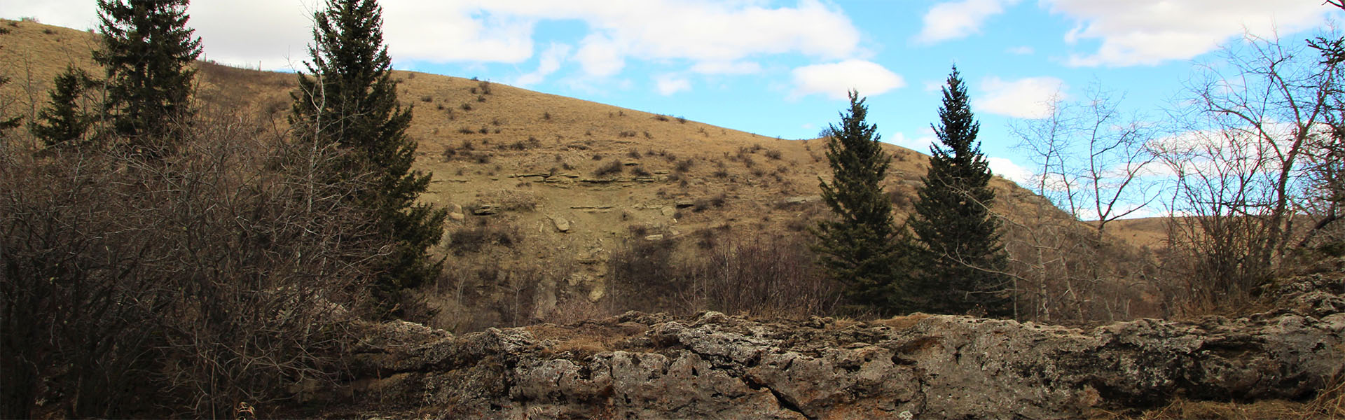 Alberta Parks