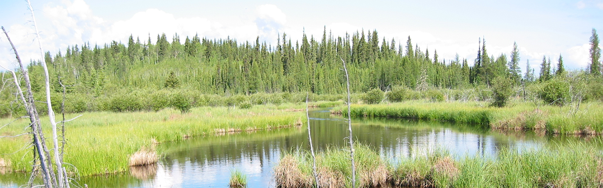 Alberta Parks