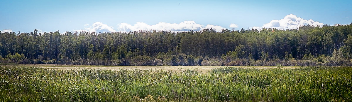 Alberta Parks