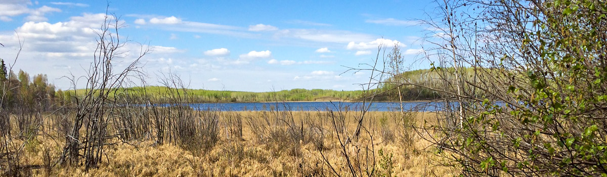 Alberta Parks