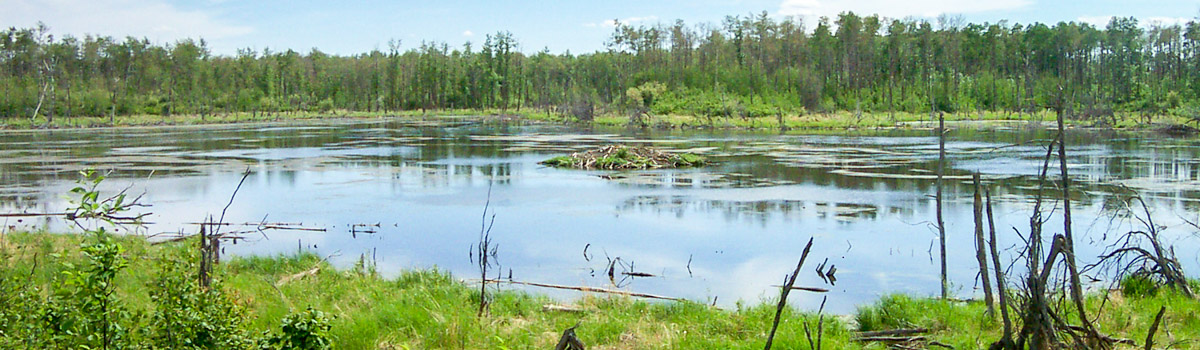 Alberta Parks