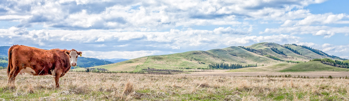 Alberta Parks