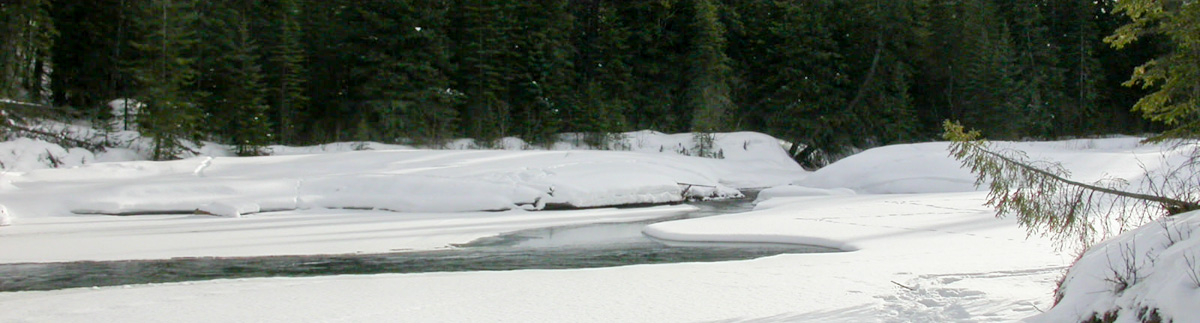 Alberta Parks
