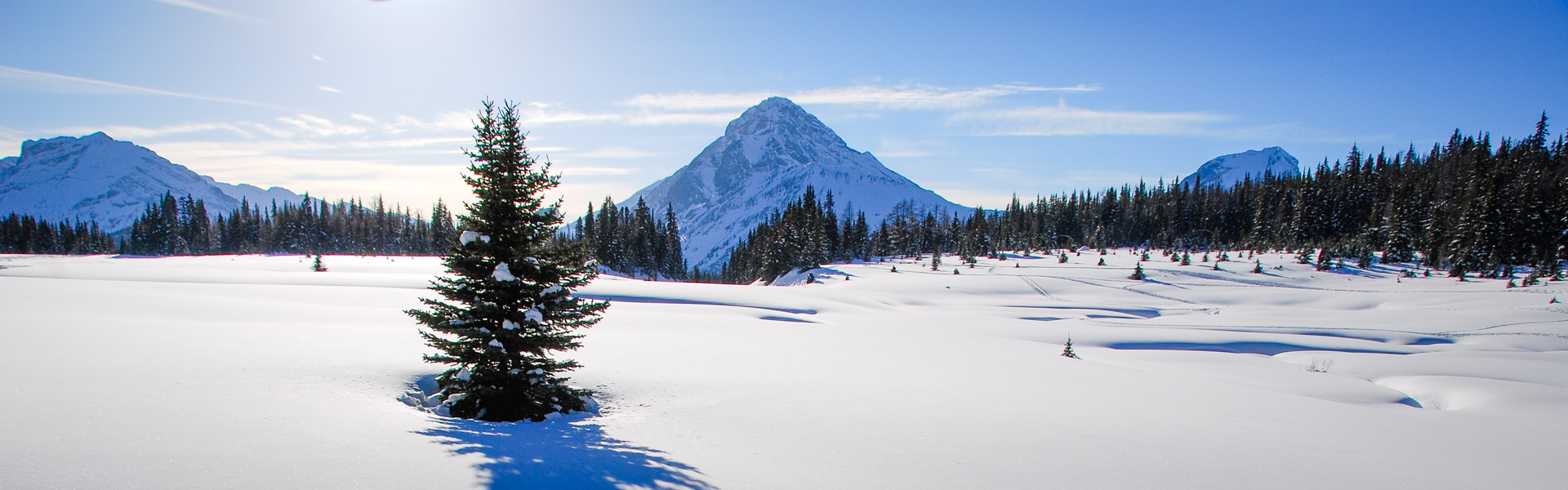 Alberta Parks