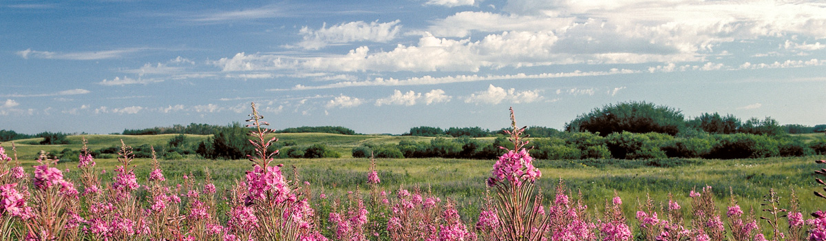 Alberta Parks