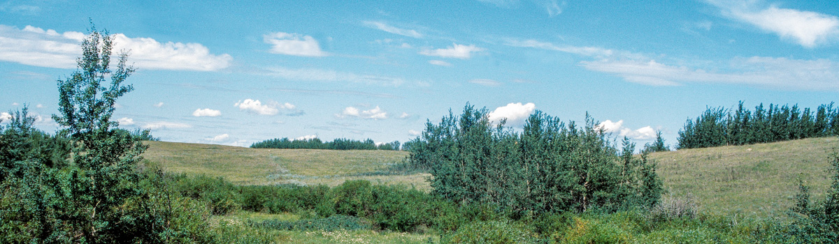 Alberta Parks
