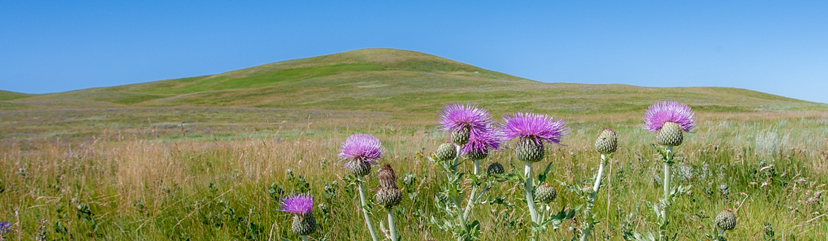 Alberta Parks
