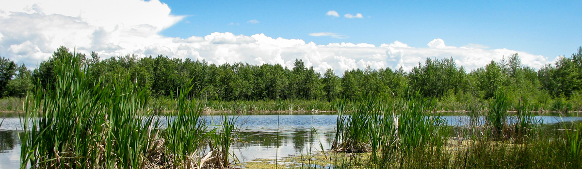 Alberta Parks