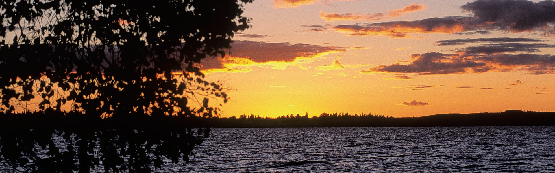 Alberta Parks