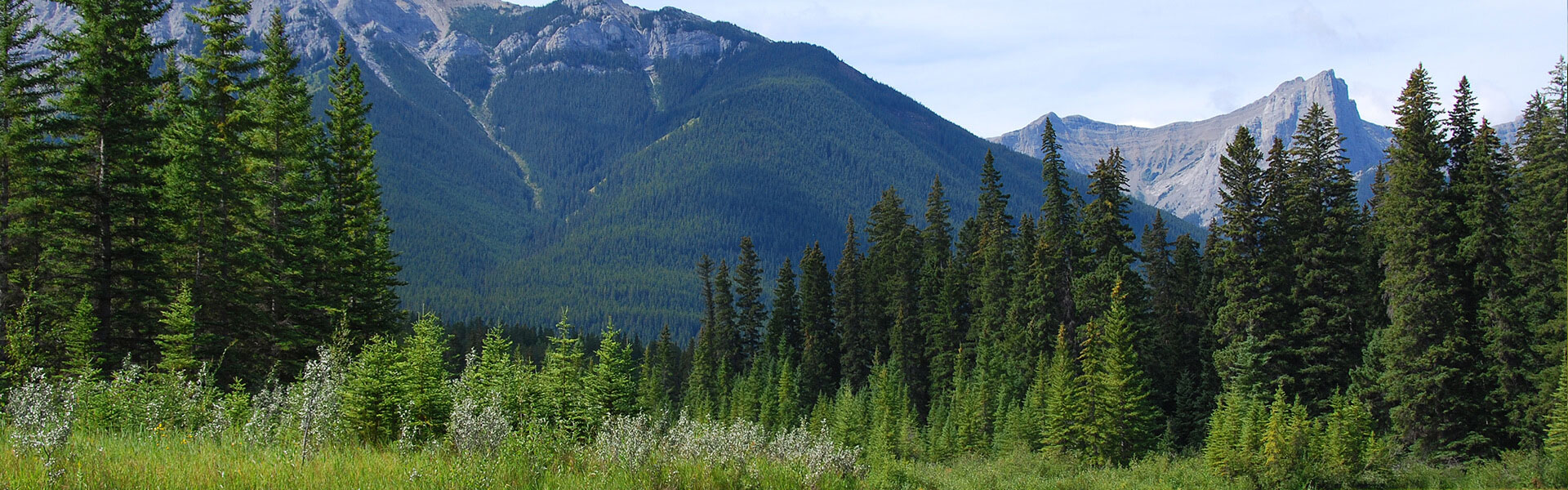 Alberta Parks