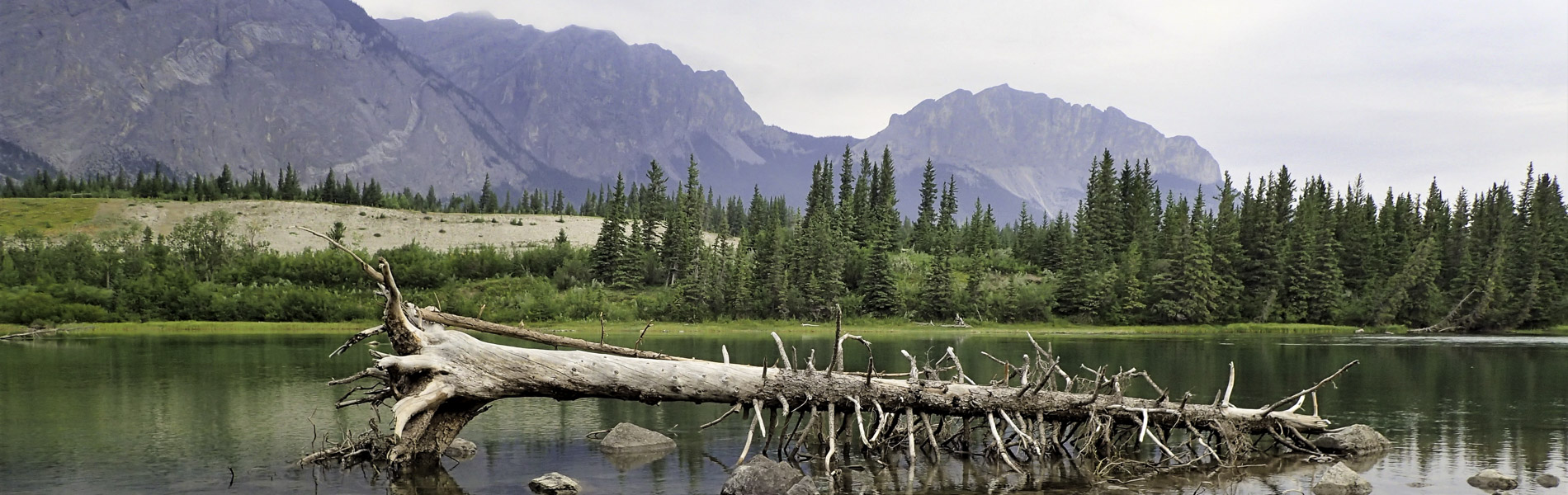 Alberta Parks