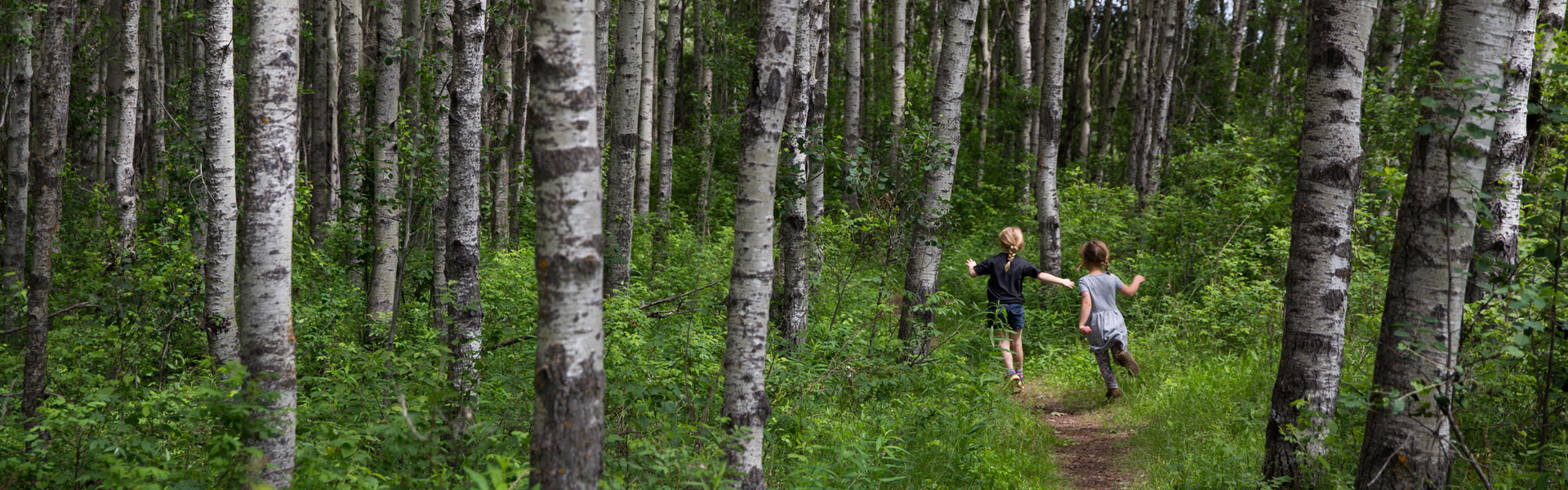 Alberta Parks