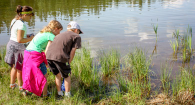 Limnology (Water) Study